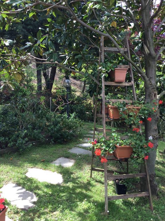 بيترا ليغوري L'Acacia B&B المظهر الخارجي الصورة